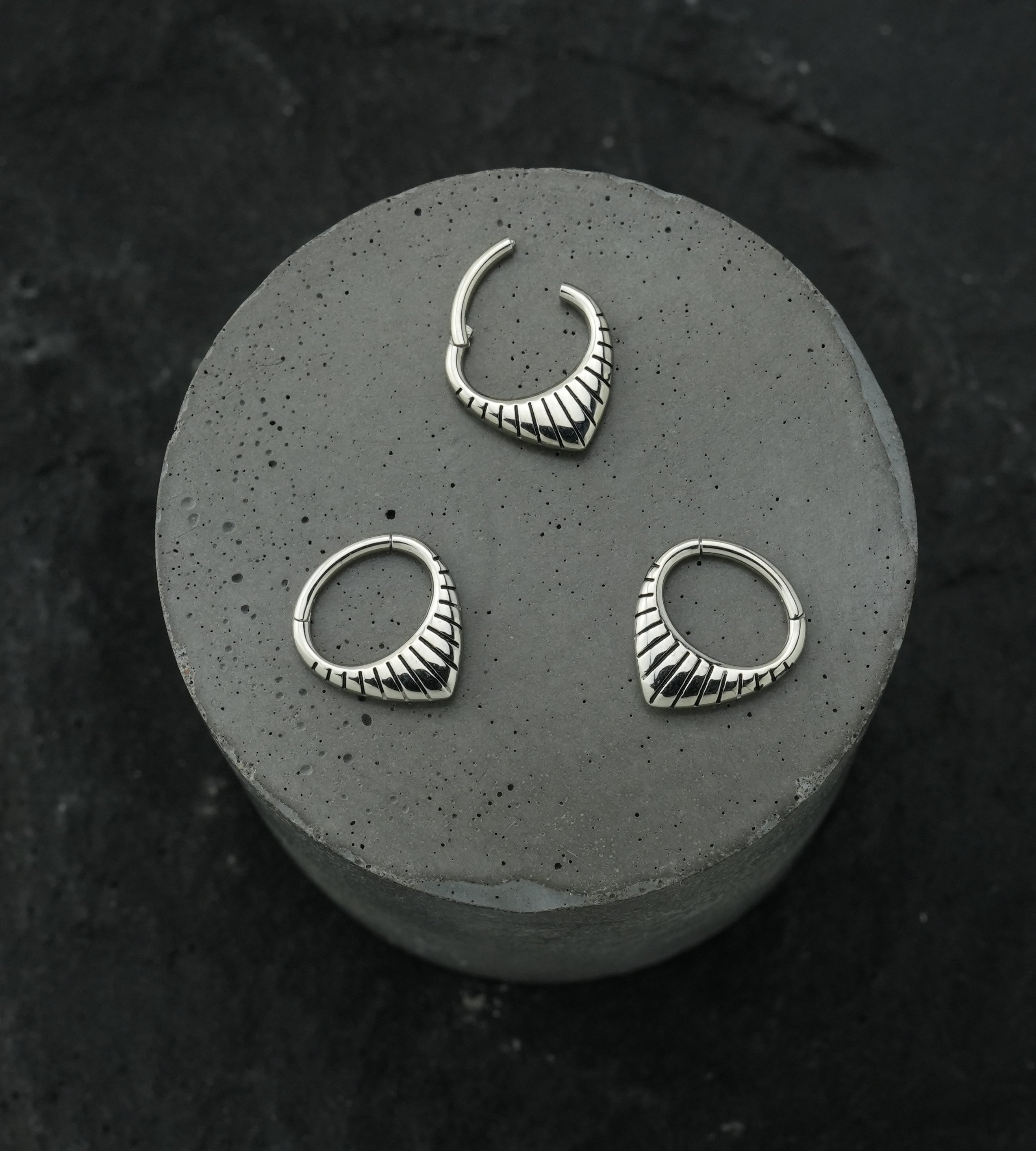 Point Ridge Stainless Steel Hinged Segment Ring