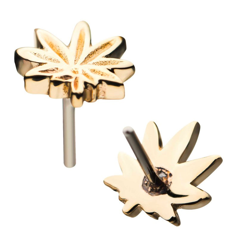 14kt Gold Pot Leaf Threadless Top