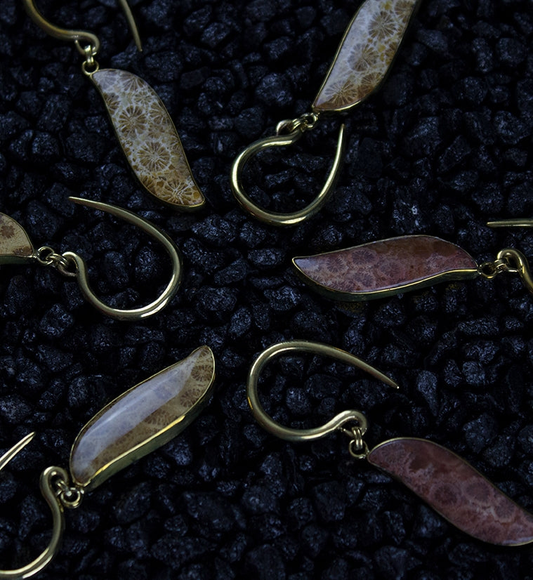 Prime Fossilized Coral Brass Hangers