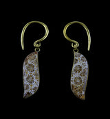Prime Fossilized Coral Brass Hangers