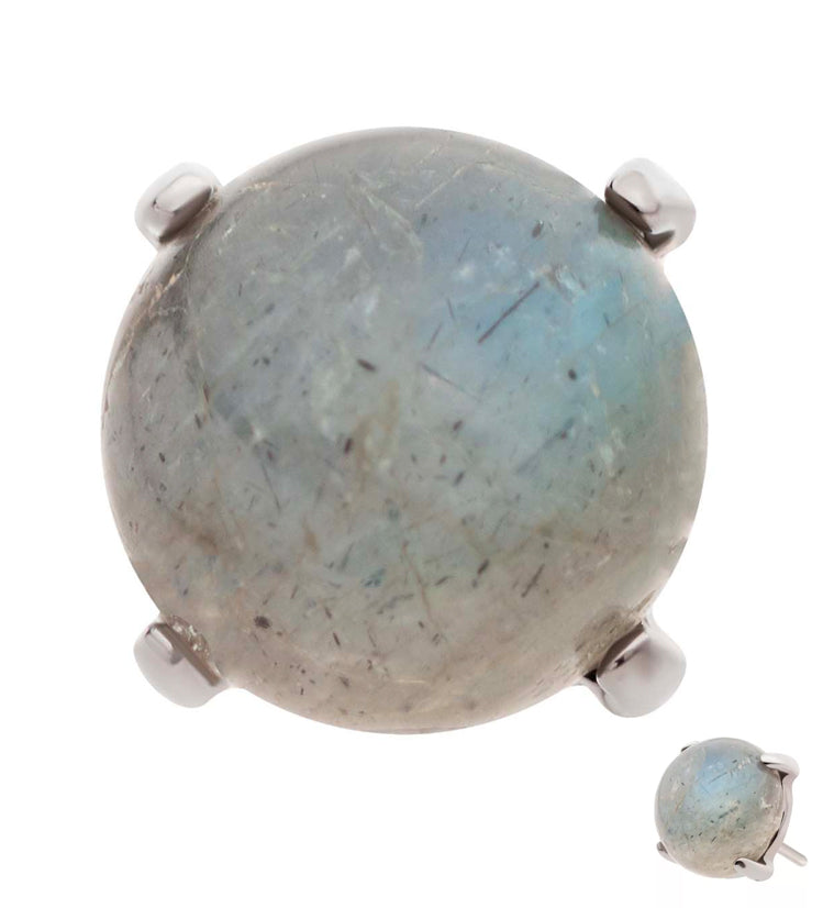 Prong Labradorite Stone Titanium Threadless Top