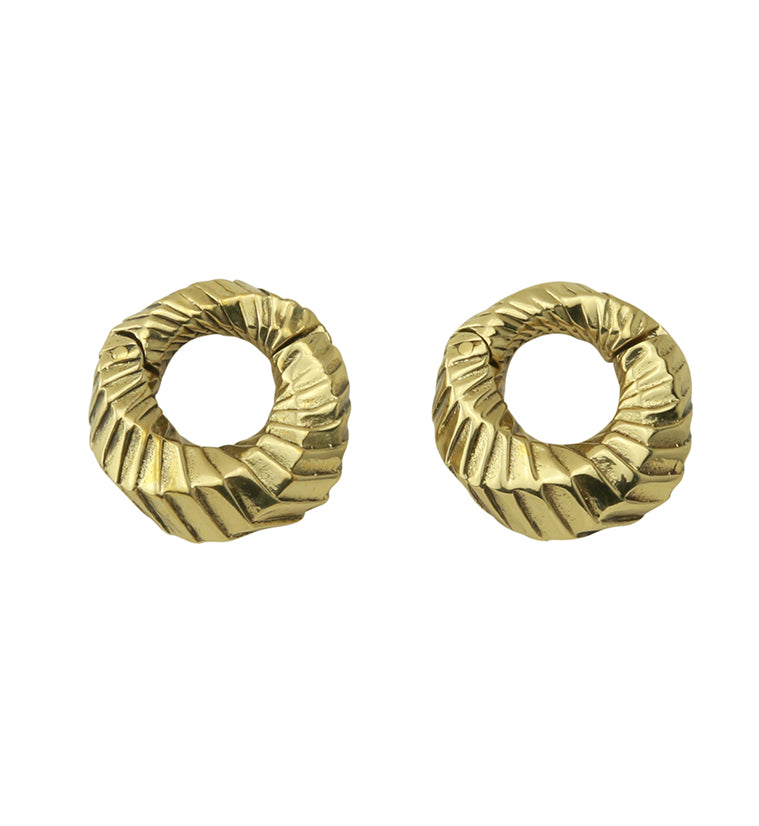 Proxy Brass Hinged Ear Weights