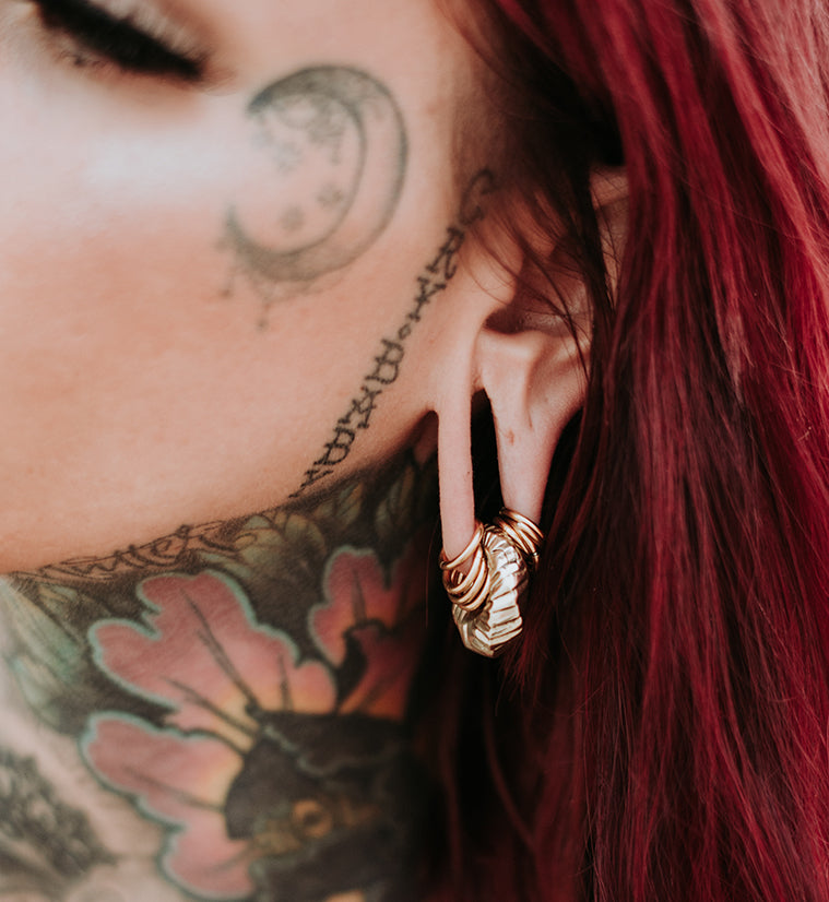 Proxy Brass Hinged Ear Weights