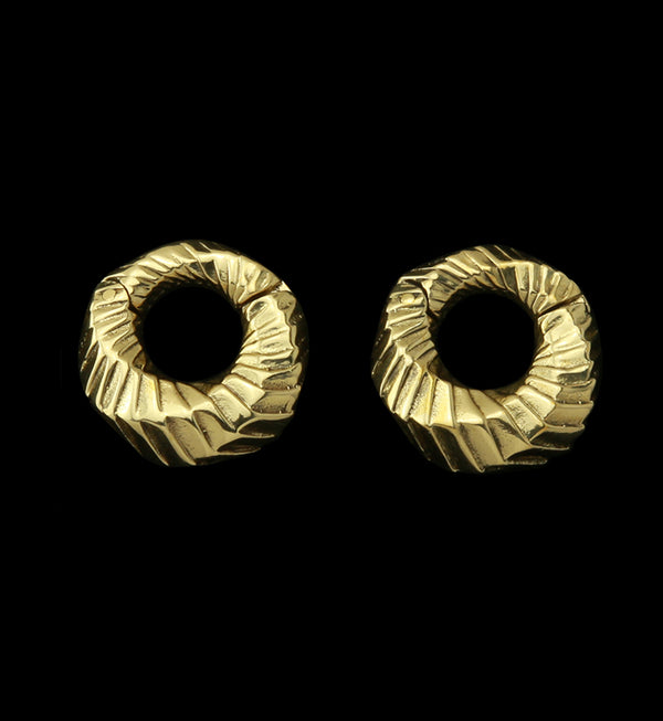 Proxy Brass Hinged Ear Weights