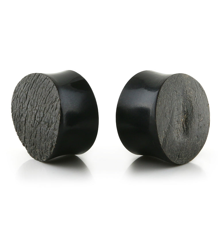 Raw Buffalo Horn Plugs