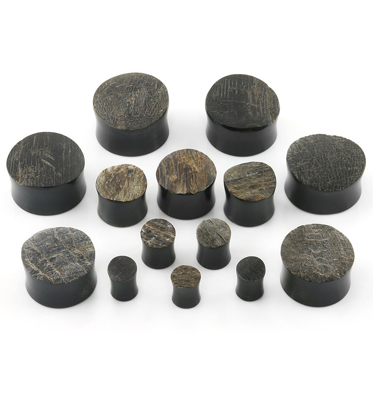 Raw Buffalo Horn Plugs