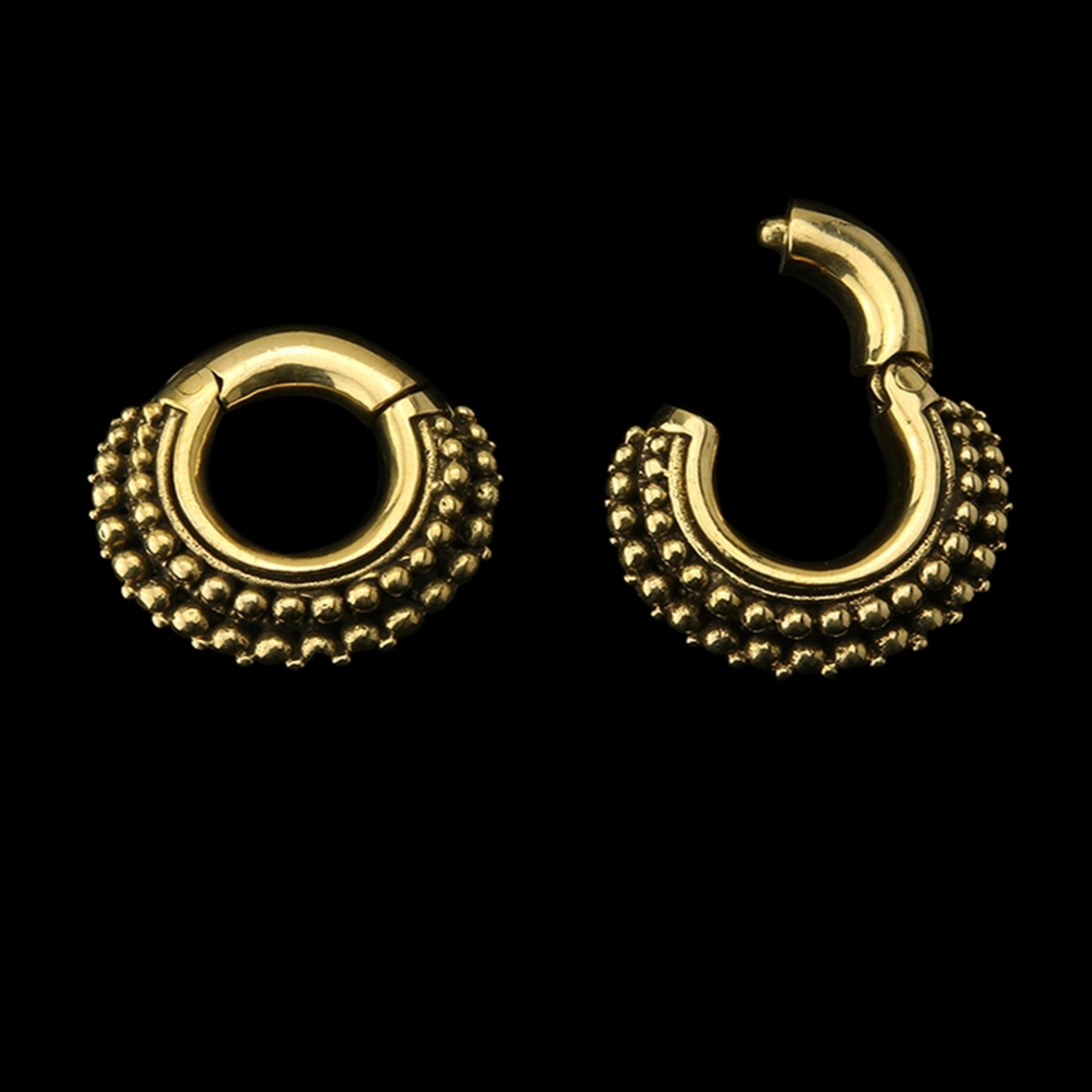 Reef Hinged Ear Weights