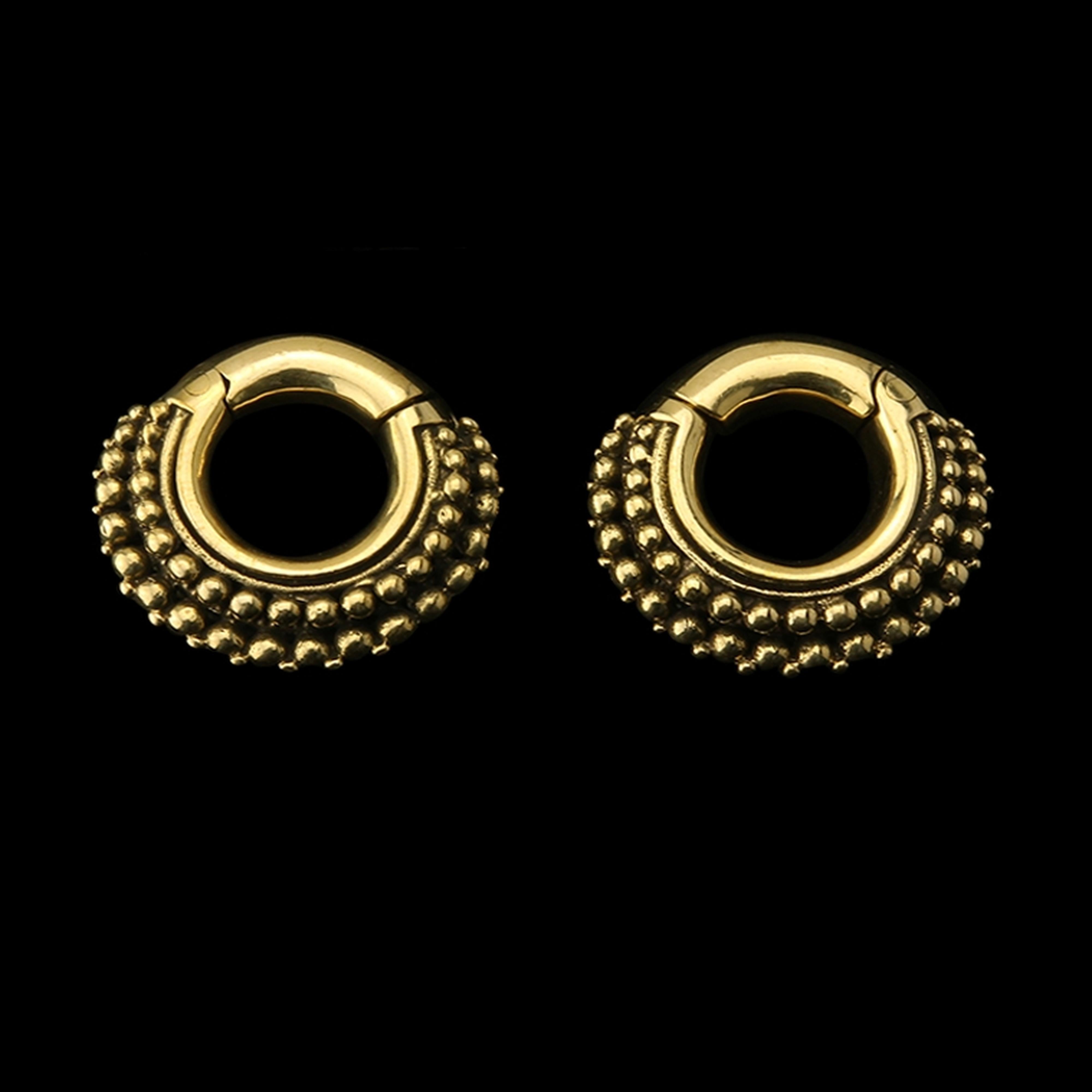 Reef Hinged Ear Weights