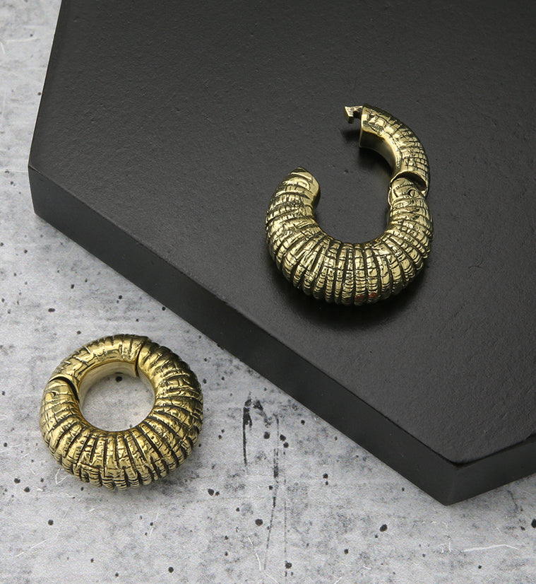 Rivel Brass Hinged Ear Weights