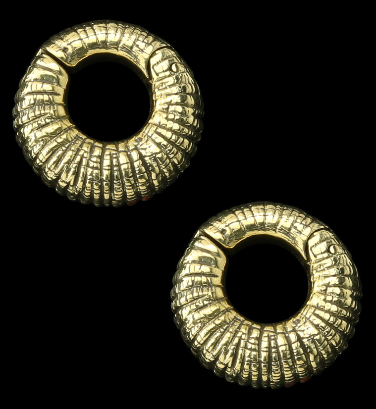 Rivel Brass Hinged Ear Weights