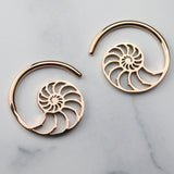 Rose Gold PVD Ammonite Ear Weights