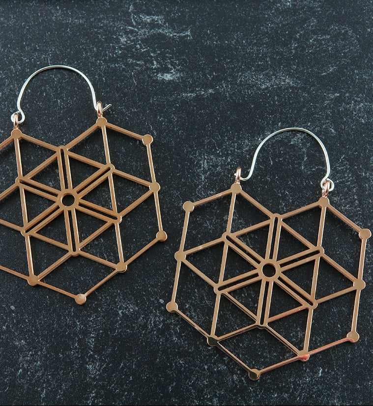 20G Rose Gold Gaze Hangers / Earrings