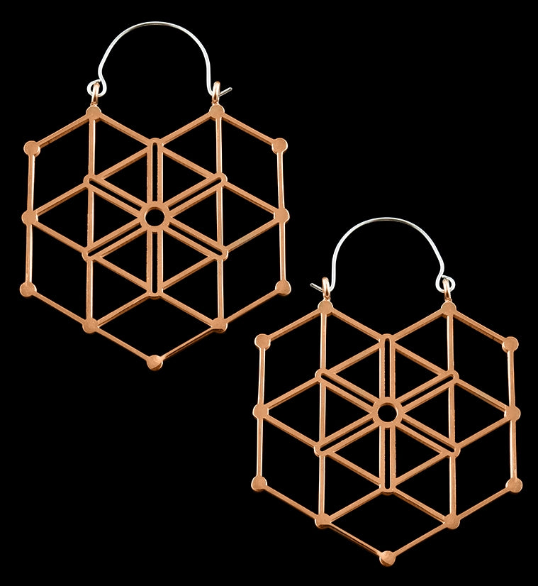 20G Rose Gold Gaze Hangers / Earrings