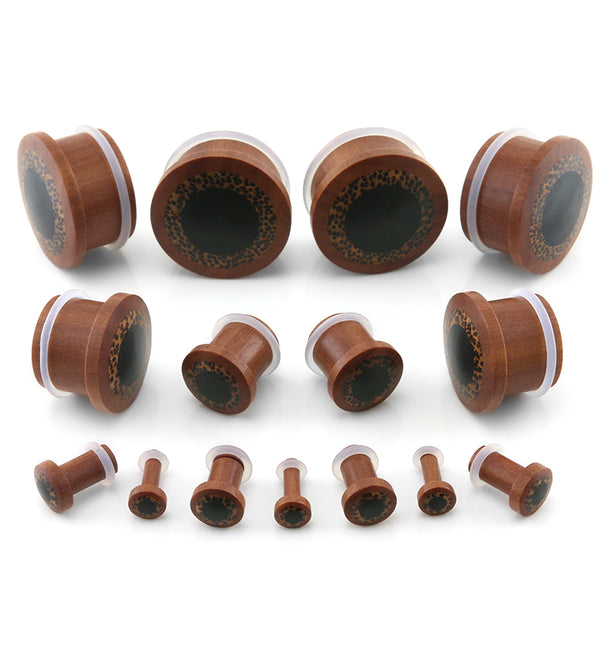 Single Flare Saba Wood Plugs with Coconut & Areng Inlay