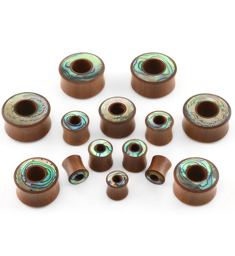Saba Wood Tunnel Plugs With Abalone Shell Inlay …