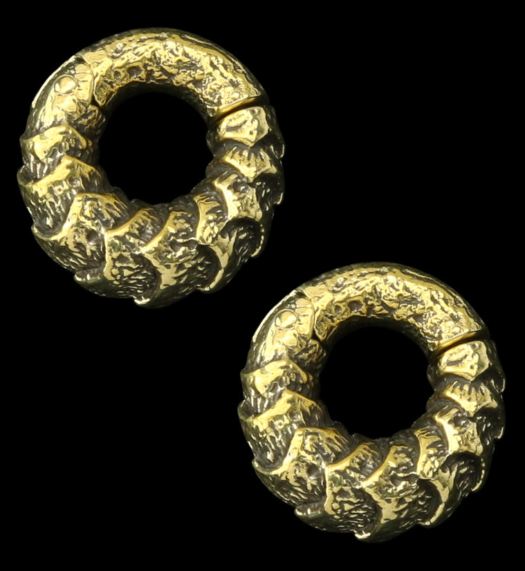 Scales Brass Hinged Ear Weights