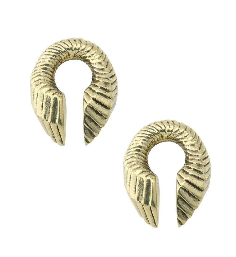Scaly Brass Ear Weights