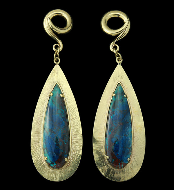 Score Blue Opal Petrified Wood Brass Ear Weights