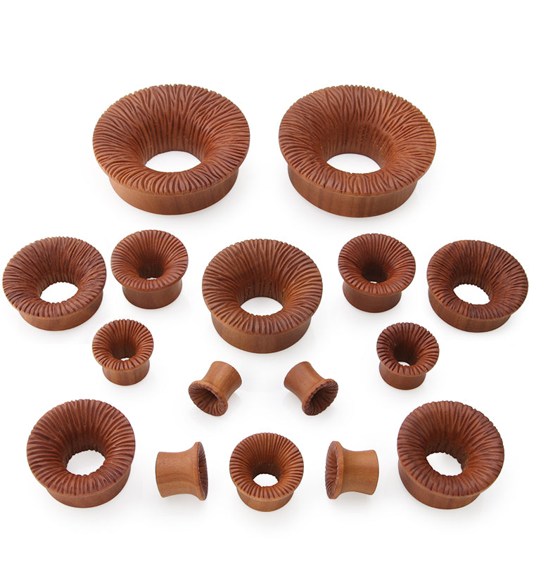 Score Saba Wood Mayan Flare Tunnel Plugs