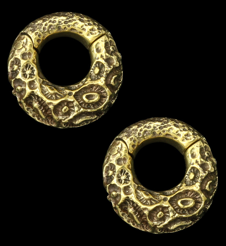 Sea Coral Brass Hinged Ear Weights