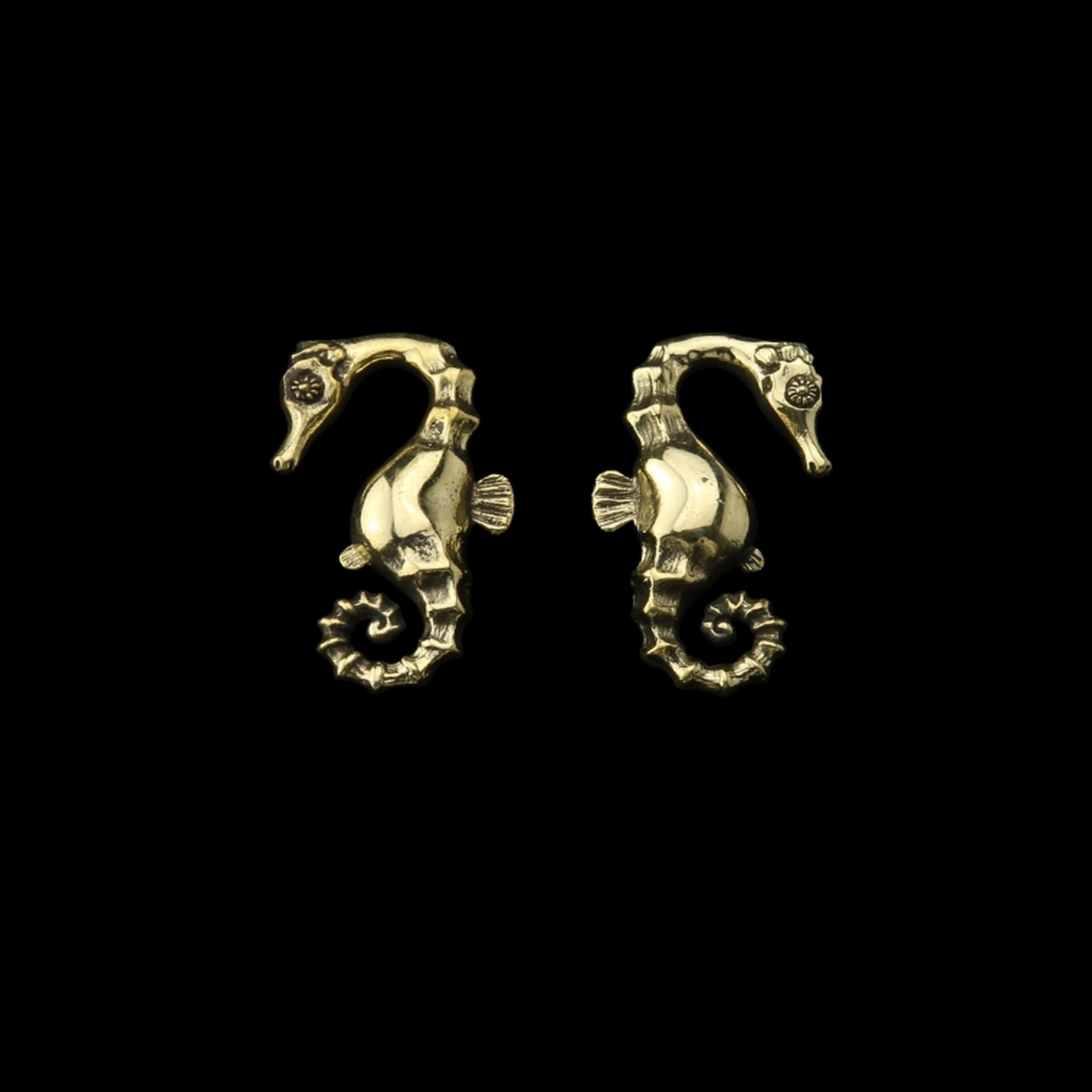 Seahorse Ear Weights