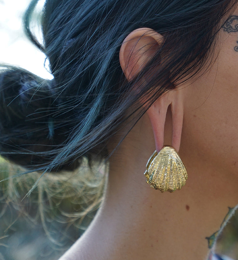 Seashell Brass Ear Weights