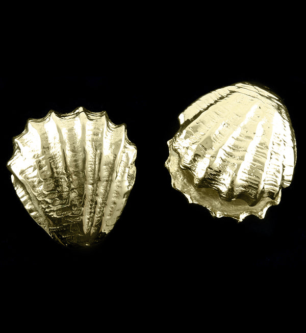 Seashell Brass Ear Weights