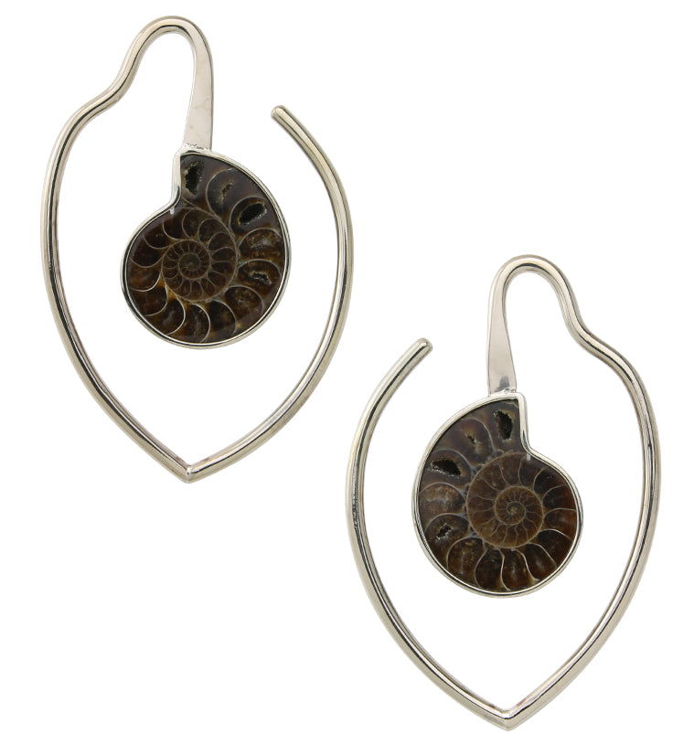 Drop Ammonite Fossil Teardrop Hoop White Brass Ear Weights