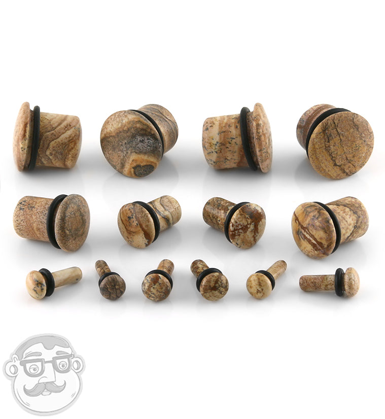 Single Flare Jasper Stone Plugs