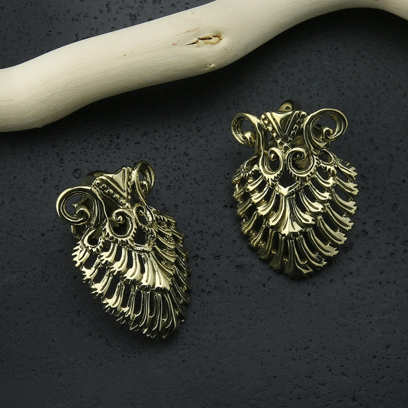 Sinuous Brass Ear Weights