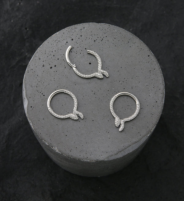 Snake Band Titanium Hinged Segment Ring