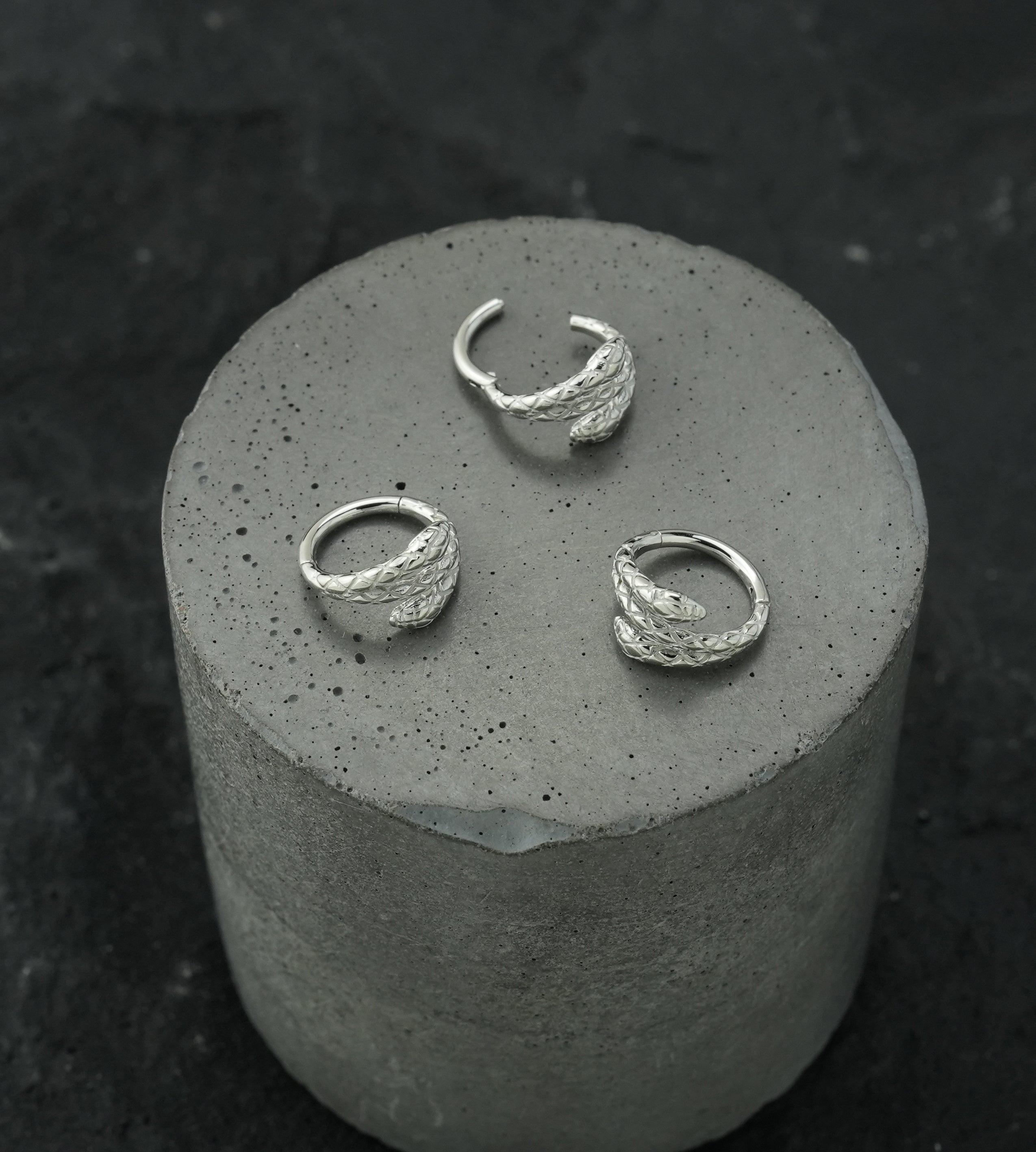 Snake Twist Stainless Steel Hinged Segment Ring