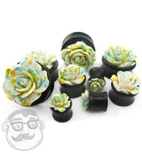 Spring Rosebud Black Acrylic Plugs