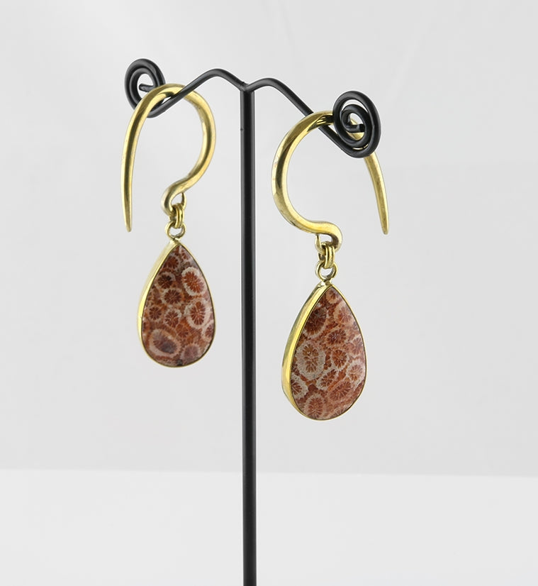 Teardrop Fossilized Coral Brass Hangers