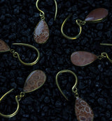 Teardrop Fossilized Coral Brass Hangers