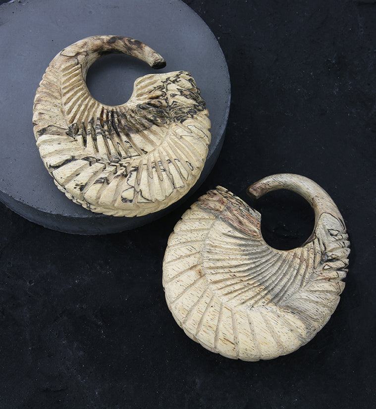 Teardrop Groove Tamarind Wood Hoop Plugs