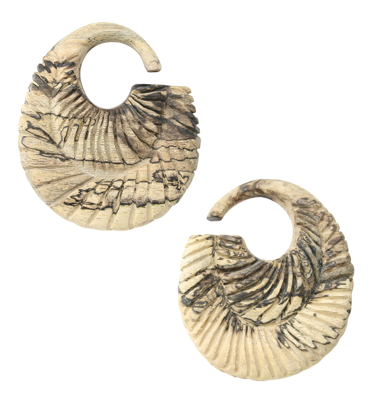 Teardrop Groove Tamarind Wood Hoop Plugs