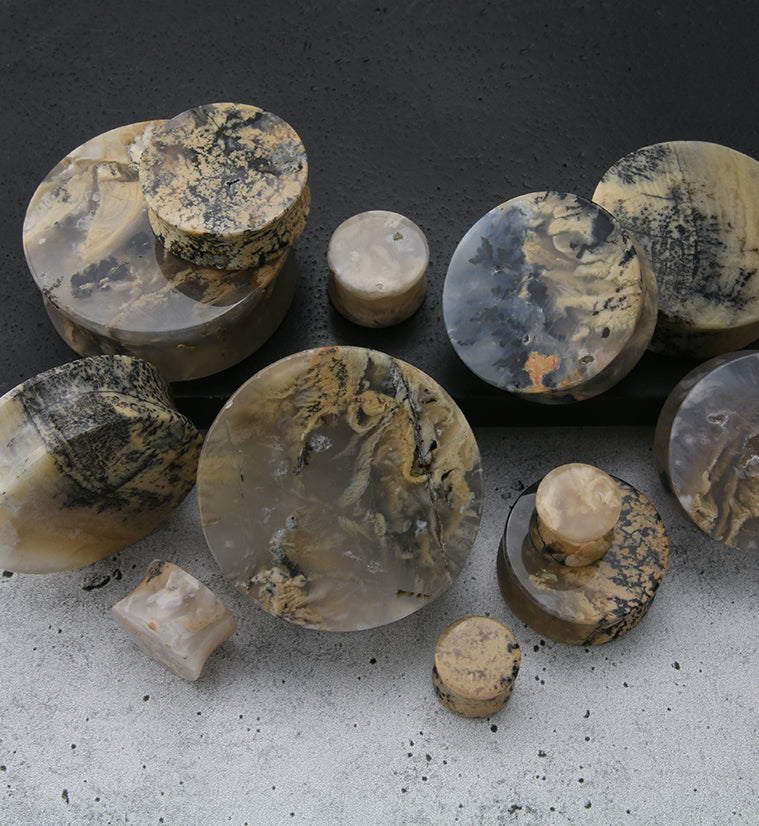 Tiger Agate Dendritic Stone Plugs