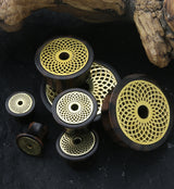 Torus Brass Areng Wood Mayan Flare Plugs