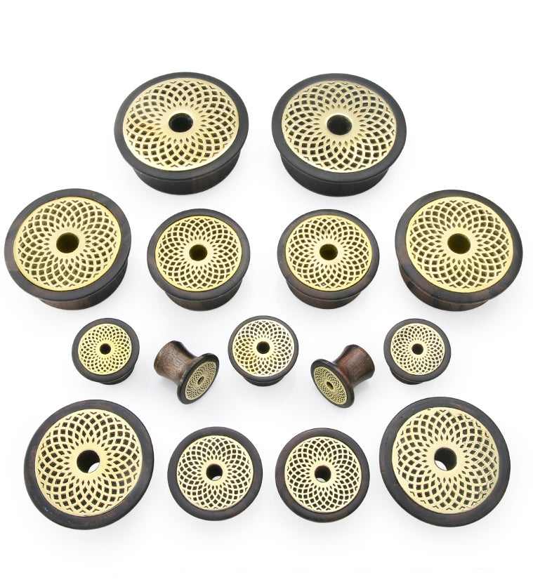 Torus Brass Areng Wood Mayan Flare Plugs