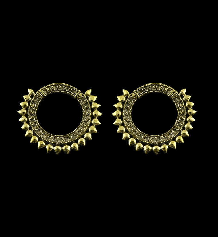 Transfix Ring Hinged Ear Weights