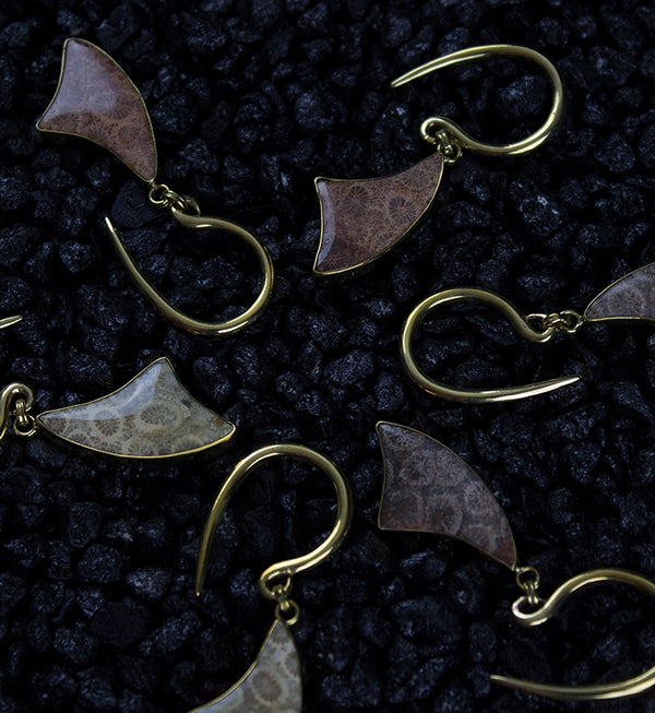 triad-fossil-coral-ear-weights-hangers