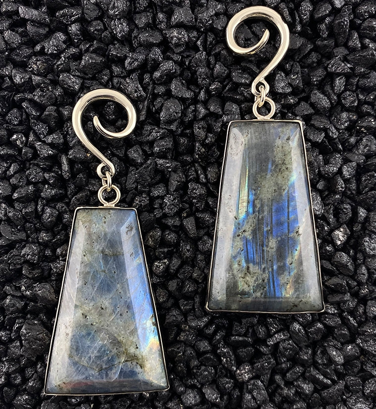 Labradorite Ear Weights