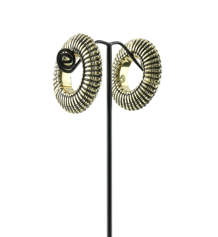 Vestige Hinged Ear Weights