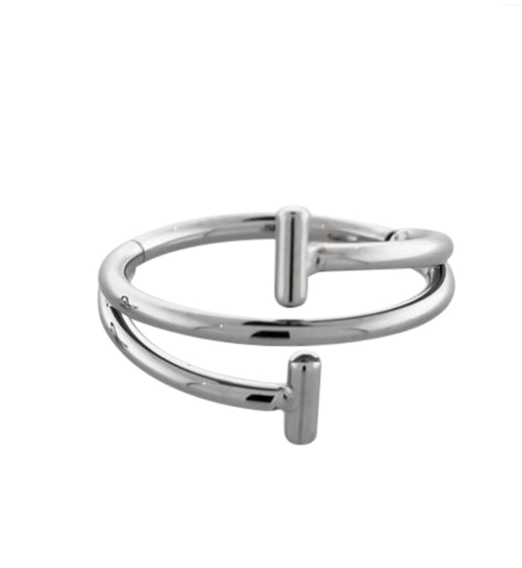 Whirl Bar Titanium Hinged Segment Ring