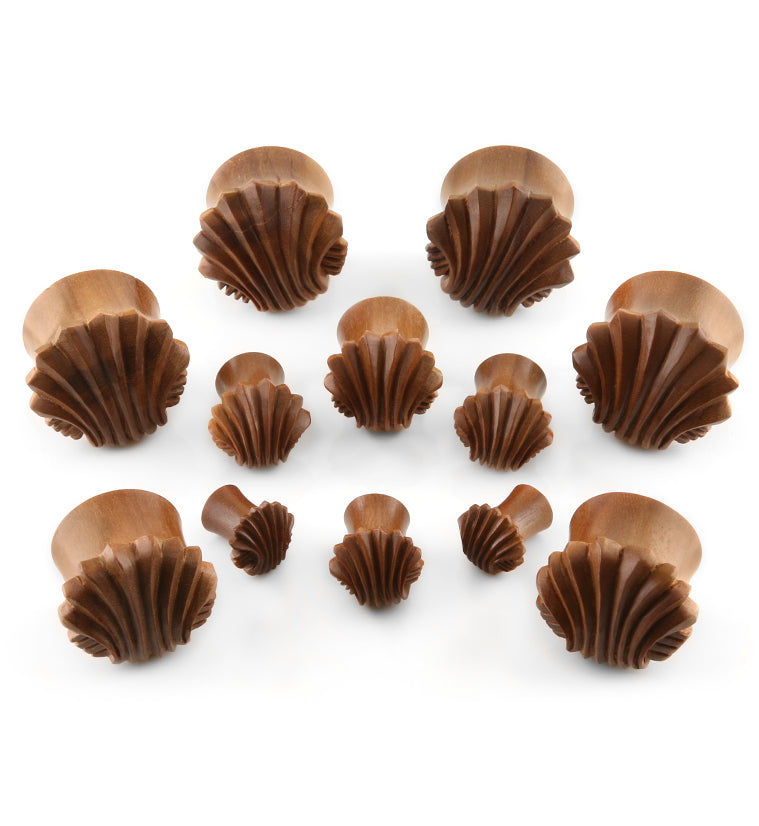 Carved Sea Shell Wood Plugs