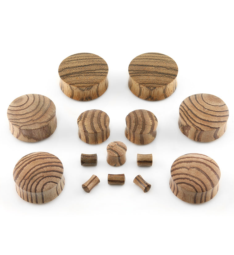 Zebrawood Plugs