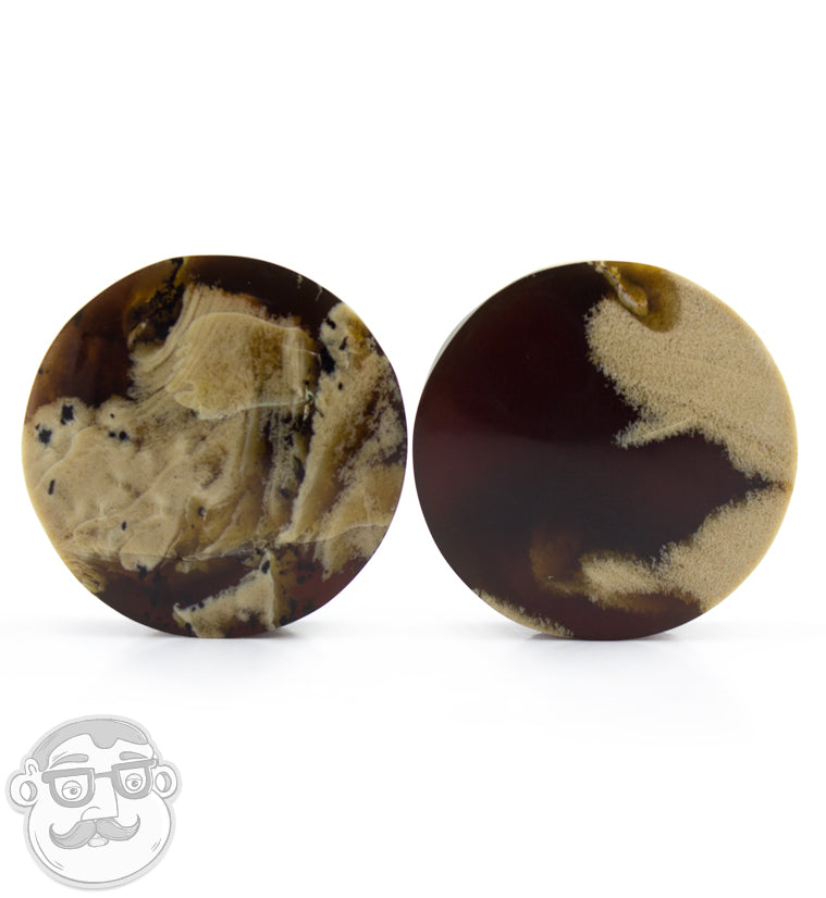 Zebra Amber Plugs