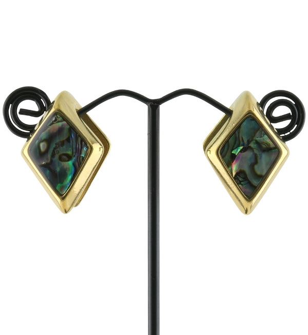 Gold PVD Zircon Abalone Shell Ear Weights
